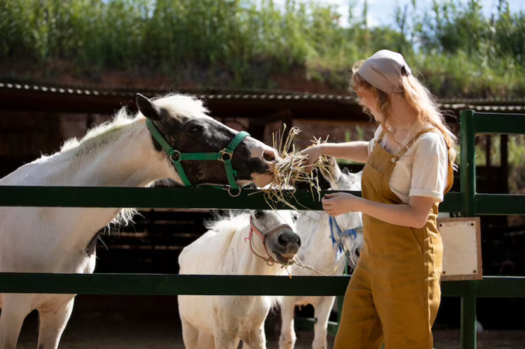 Alimentation Du Cheval Et Besoins Nutritionnels