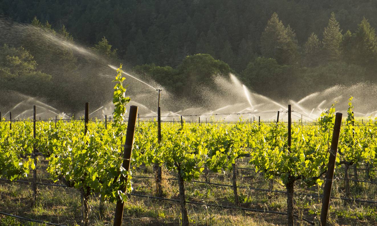 traitement de l'eau viticulture